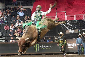 Pro Bull Riding (pbr) - Madison Square Garden, New York, Ny - 01 06 